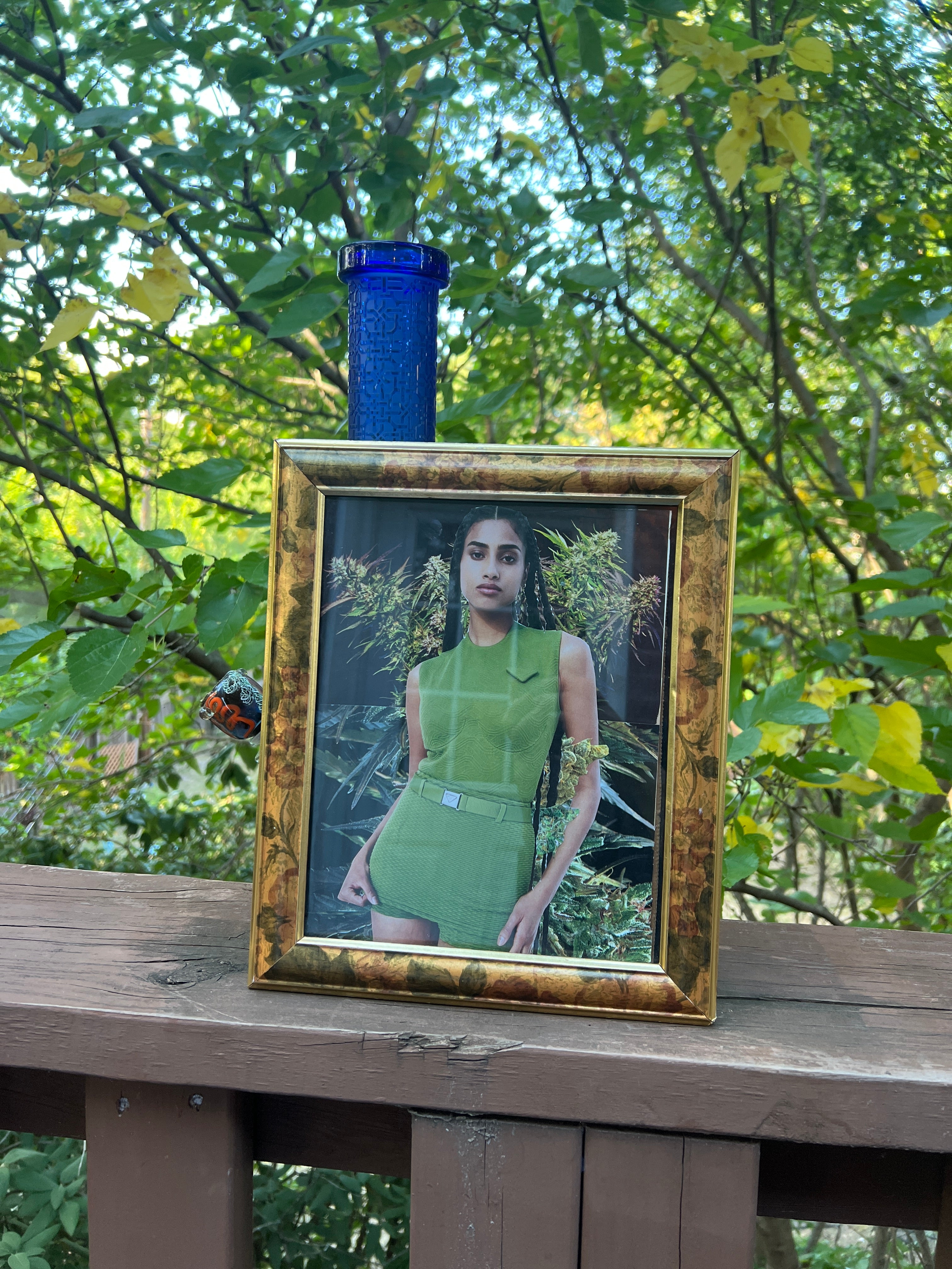 Lovely Ladies 1 (2 collages in one frame)